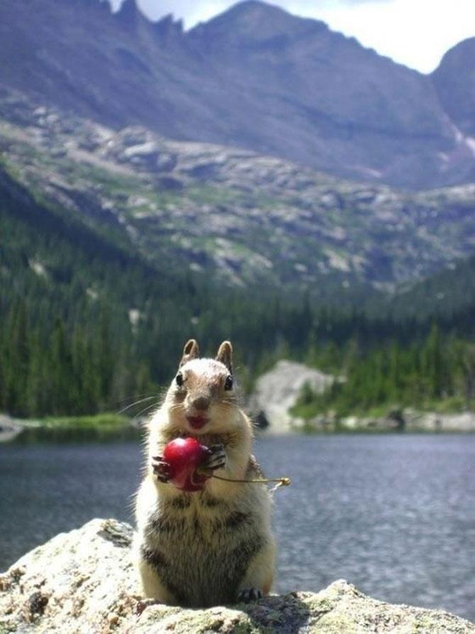 Să mai şi zâmbim! Imagini emoţionante pentru iubitorii de animale 183067