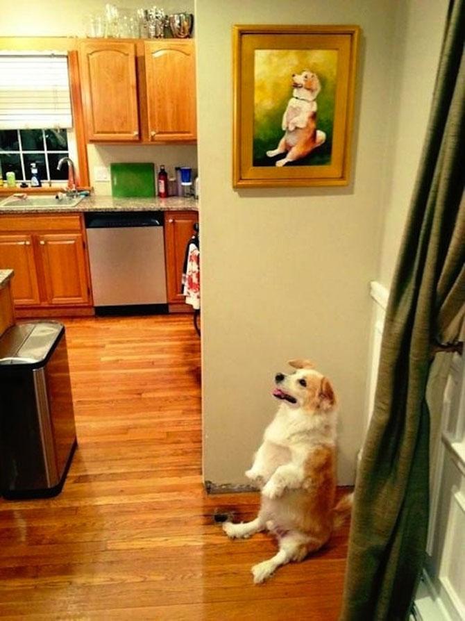 Să mai şi zâmbim! Imagini emoţionante pentru iubitorii de animale 183076