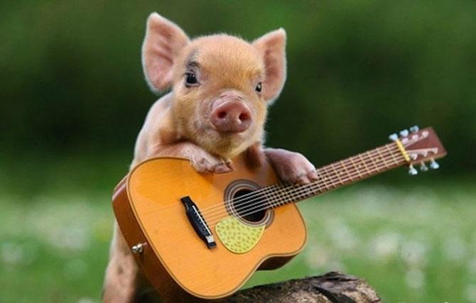 Să mai şi zâmbim! Imagini emoţionante pentru iubitorii de animale 183084