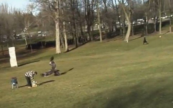 Video ŞOCANT cu momentul în care un vultur ia pe sus un copil
