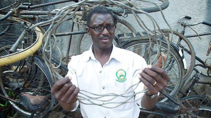 Povestea acestui leu este impresionantă. Cum l-au găsit oamenii în urmă cu doi ani. "Era între viaţă şi moarte" 185010