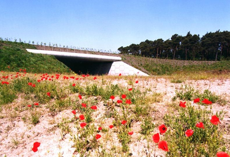 Ei respectă animalele, la noi nu sunt respectaţi nici măcar oamenii. Imaginile care arată nivelul ridicat de civilizaţie din unele state 186130