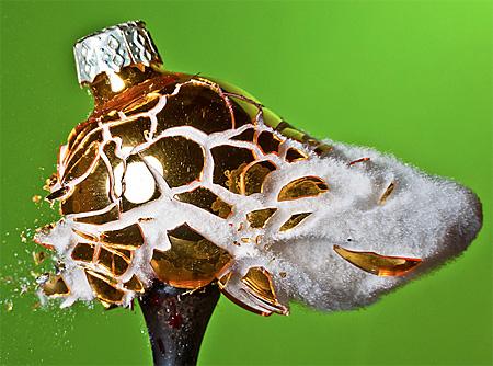 Pasiune pentru fotografie: Atunci când spiritul sărbătorilor explodează 186682