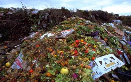 Jumătate din mâncarea de pe Glob ajunge la gunoi. Consumăm resurse importante degeaba 