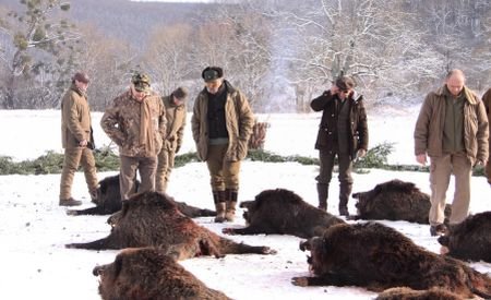 &quot;Am sperat că vom putea opri MĂCELUL&quot;. 230 de animale au fost ucise în timpul vânătorii de la Balc