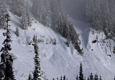 Trei salvamonţi austrieci au murit într-o avalanşă în Alpi