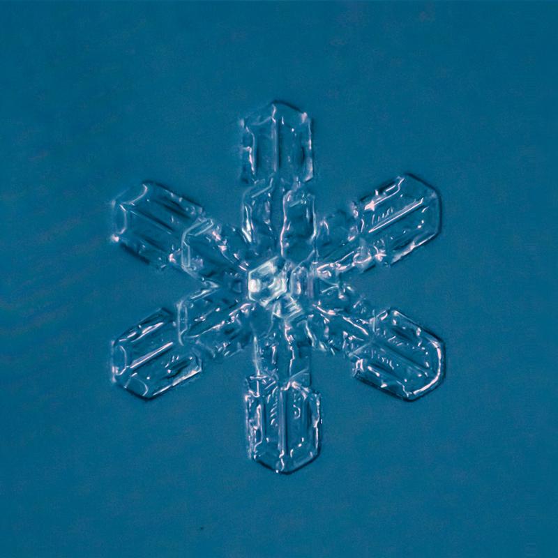 Cum arată asta la microscop. E uimitor să vezi că sunt unici. "Natura e cel mai iscusit Creator" 188683