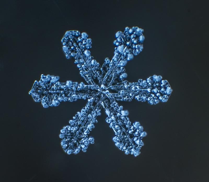 Cum arată asta la microscop. E uimitor să vezi că sunt unici. "Natura e cel mai iscusit Creator" 188685