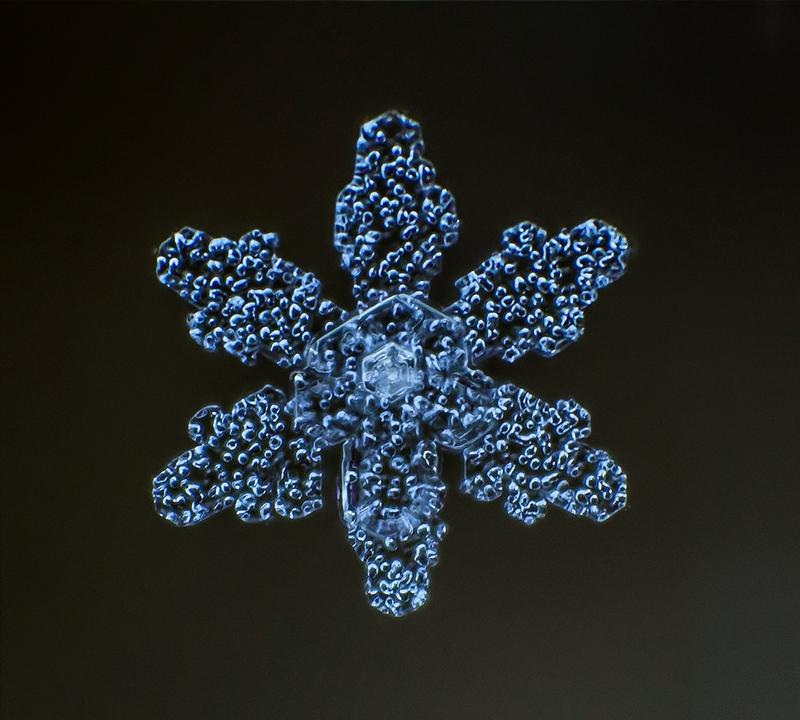 Cum arată asta la microscop. E uimitor să vezi că sunt unici. "Natura e cel mai iscusit Creator" 188686