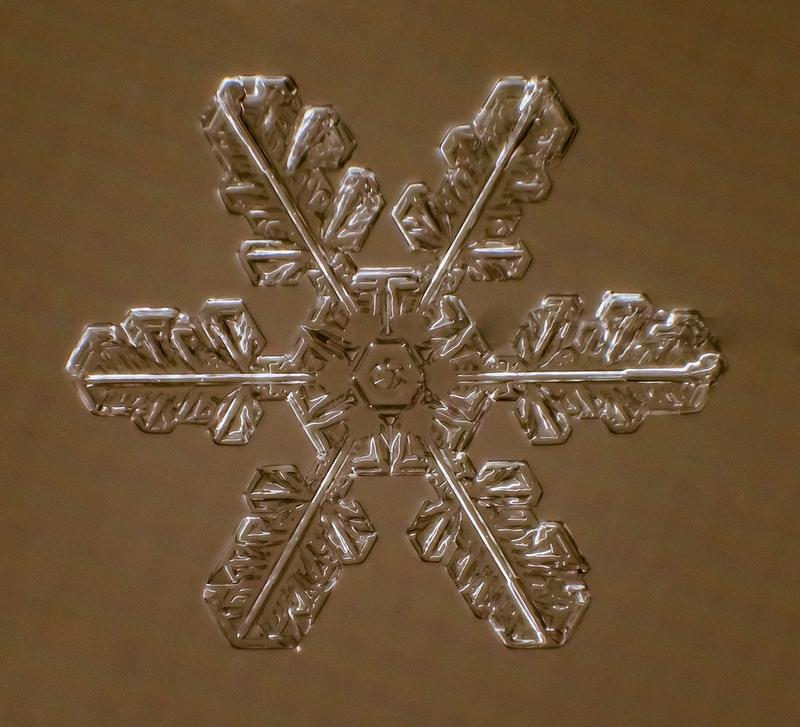 Cum arată asta la microscop. E uimitor să vezi că sunt unici. "Natura e cel mai iscusit Creator" 188687