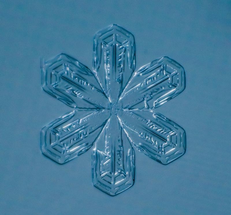 Cum arată asta la microscop. E uimitor să vezi că sunt unici. "Natura e cel mai iscusit Creator" 188688