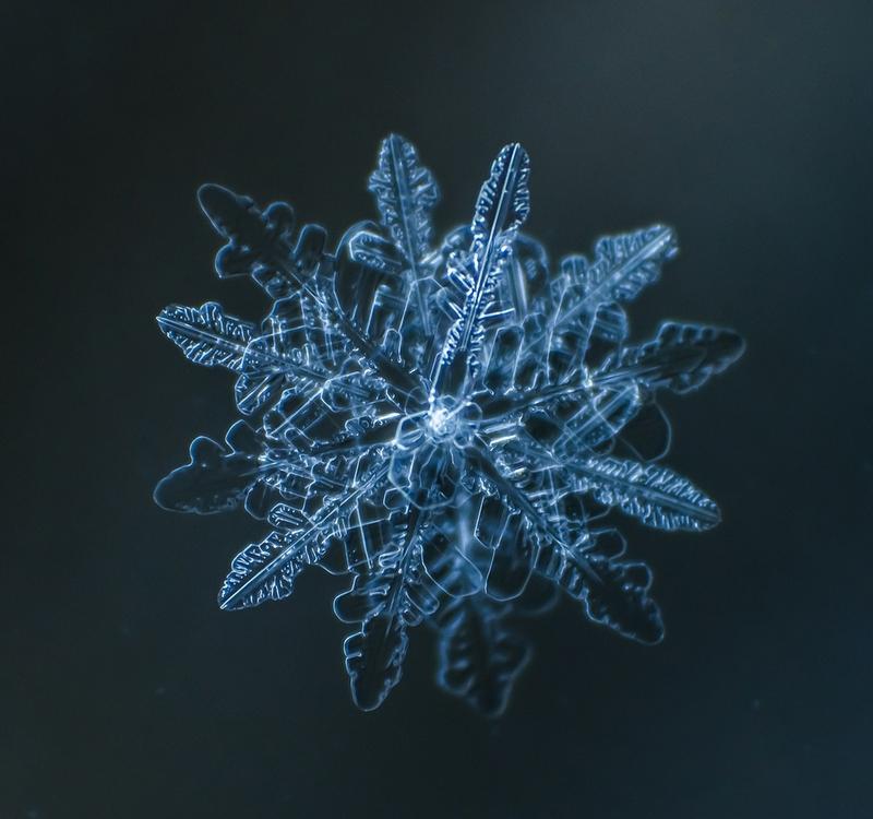 Cum arată asta la microscop. E uimitor să vezi că sunt unici. "Natura e cel mai iscusit Creator" 188689