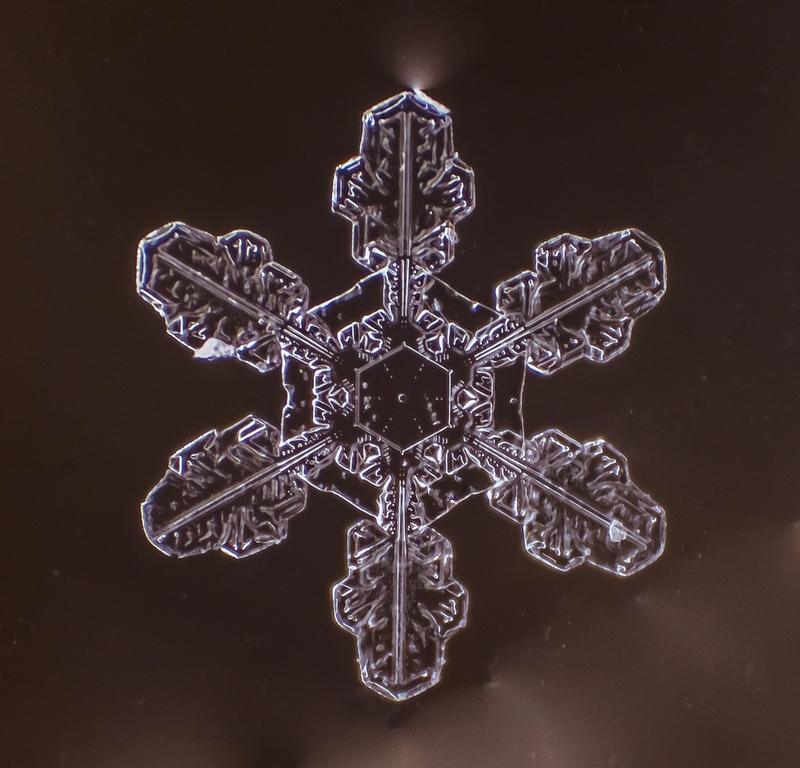 Cum arată asta la microscop. E uimitor să vezi că sunt unici. "Natura e cel mai iscusit Creator" 188690