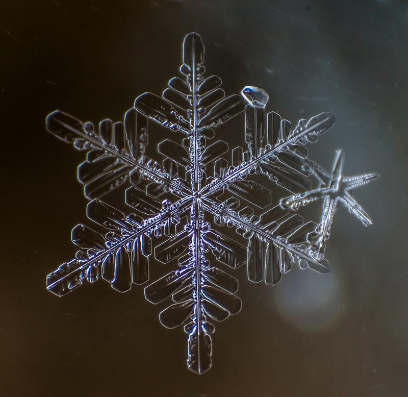 Cum arată asta la microscop. E uimitor să vezi că sunt unici. "Natura e cel mai iscusit Creator" 188691