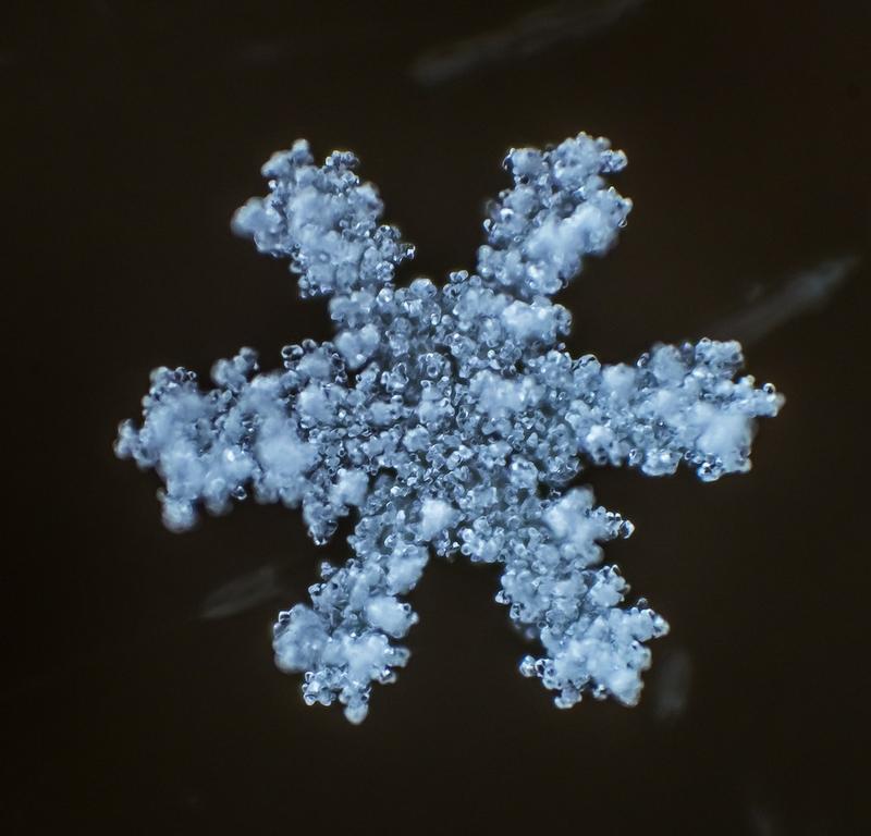 Cum arată asta la microscop. E uimitor să vezi că sunt unici. "Natura e cel mai iscusit Creator" 188692