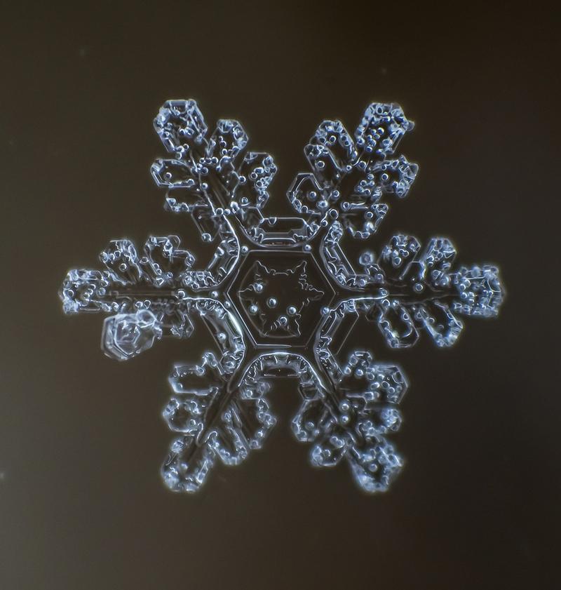 Cum arată asta la microscop. E uimitor să vezi că sunt unici. "Natura e cel mai iscusit Creator" 188693