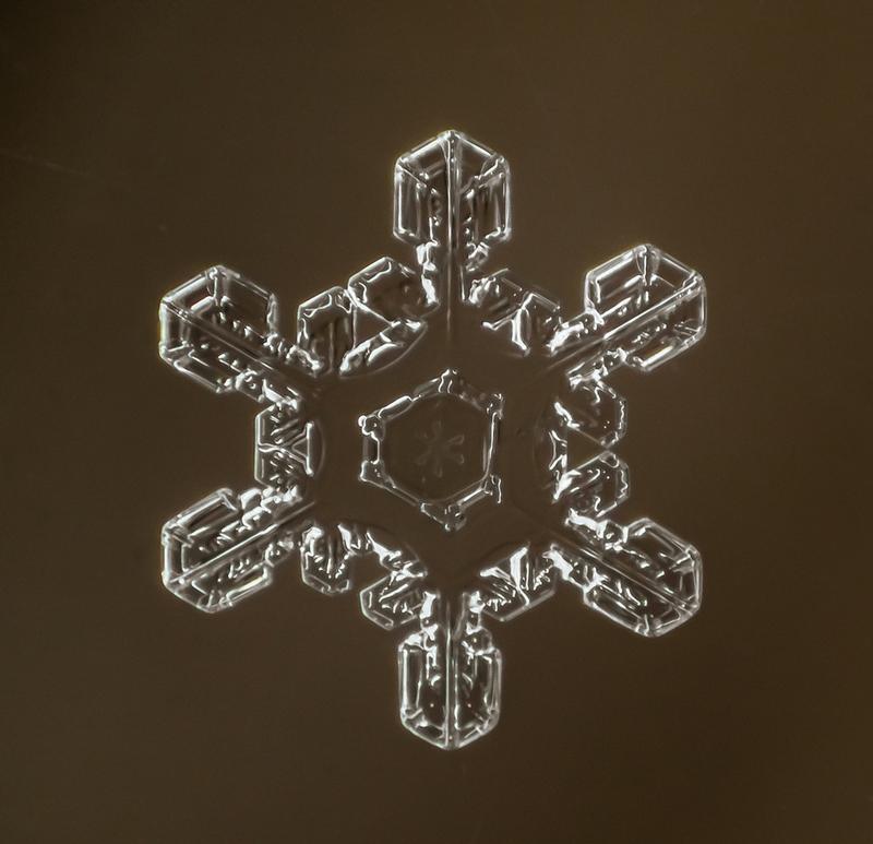 Cum arată asta la microscop. E uimitor să vezi că sunt unici. "Natura e cel mai iscusit Creator" 188694