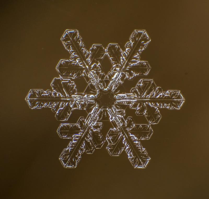 Cum arată asta la microscop. E uimitor să vezi că sunt unici. "Natura e cel mai iscusit Creator" 188695