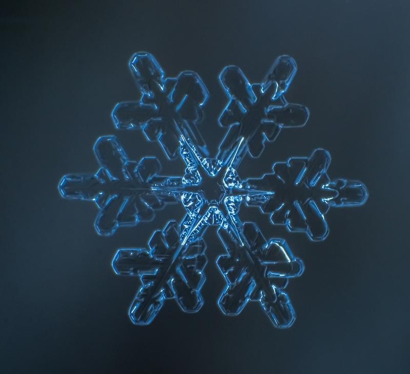 Cum arată asta la microscop. E uimitor să vezi că sunt unici. "Natura e cel mai iscusit Creator" 188696