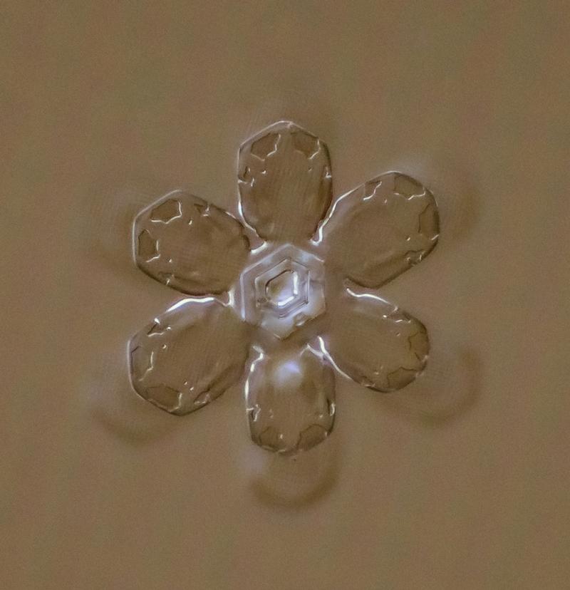 Cum arată asta la microscop. E uimitor să vezi că sunt unici. "Natura e cel mai iscusit Creator" 188697