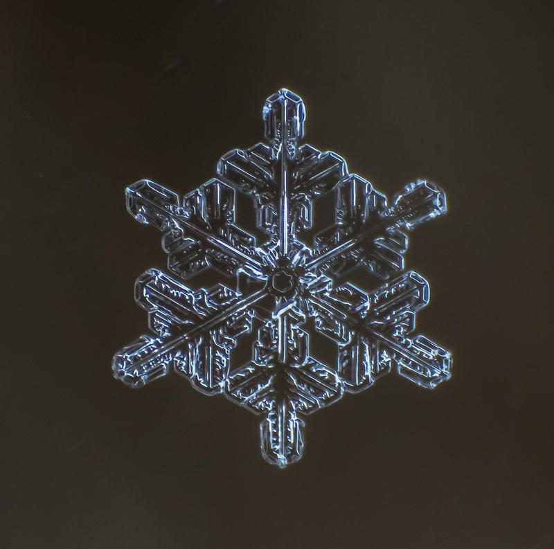 Cum arată asta la microscop. E uimitor să vezi că sunt unici. "Natura e cel mai iscusit Creator" 188698