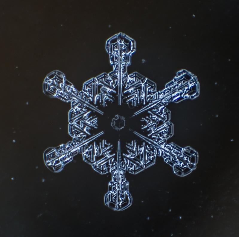 Cum arată asta la microscop. E uimitor să vezi că sunt unici. "Natura e cel mai iscusit Creator" 188699