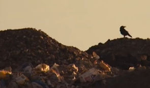 România, groapa de gunoi a Europei. Rovana Plumb: Vom suspenda importurile de deşeuri periculoase