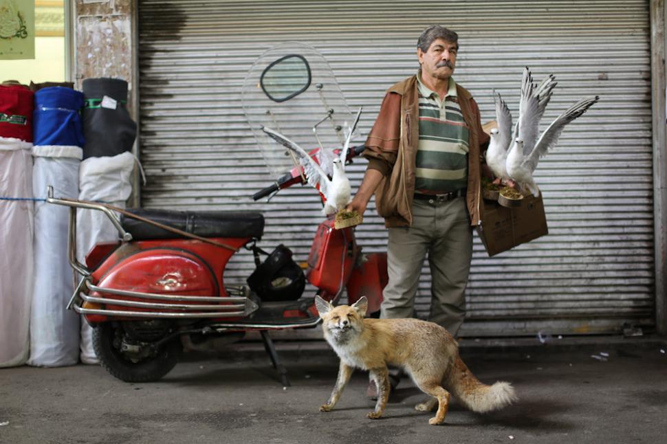 Un fotograf american a reuşit să surprindă "adevărata faţă a Iranului" 189157