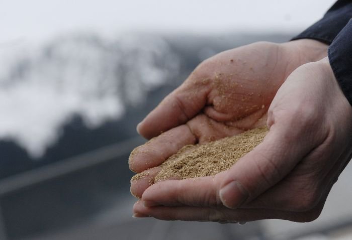 O berărie din Alaska ar putea economisi 450.000 de dolari pe energie cu ajutorul berii