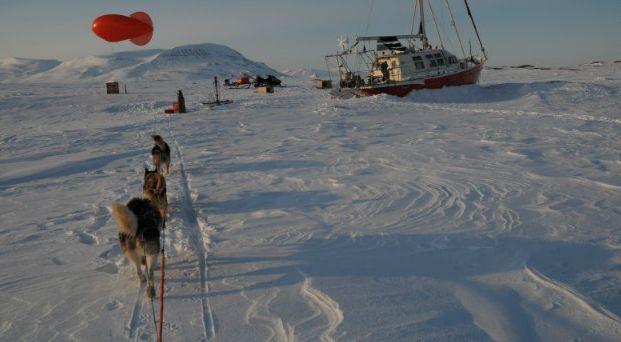 "Vagabonzii" arctici. Casa lor este un iaht şi prietenii lor sunt animalele polare. Îşi cresc copiii printre gheţari 191243