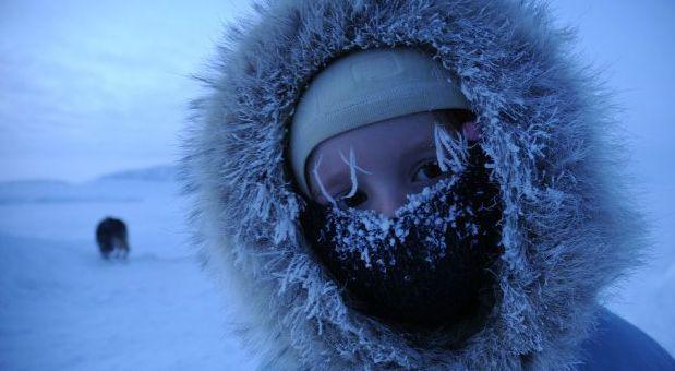 "Vagabonzii" arctici. Casa lor este un iaht şi prietenii lor sunt animalele polare. Îşi cresc copiii printre gheţari 191244