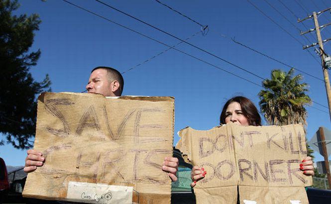 Vânătoarea lui Dorner a luat sfârşit! Poliţiştii se feresc să confirme ANIHILAREA fostului lor coleg 193100