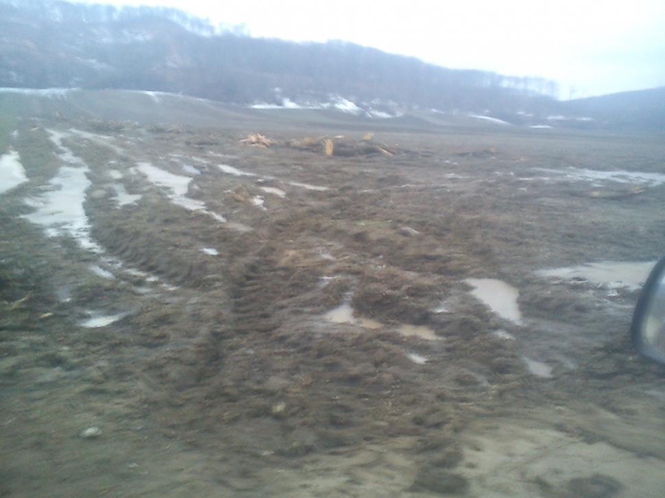 Pădurile au fost pur şi simplu "şterse", iar pământul o ia la vale peste casele oamenilor. Dezastrul la care asistăm neputincioşi 193238