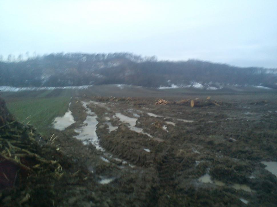 Pădurile au fost pur şi simplu "şterse", iar pământul o ia la vale peste casele oamenilor. Dezastrul la care asistăm neputincioşi 193239