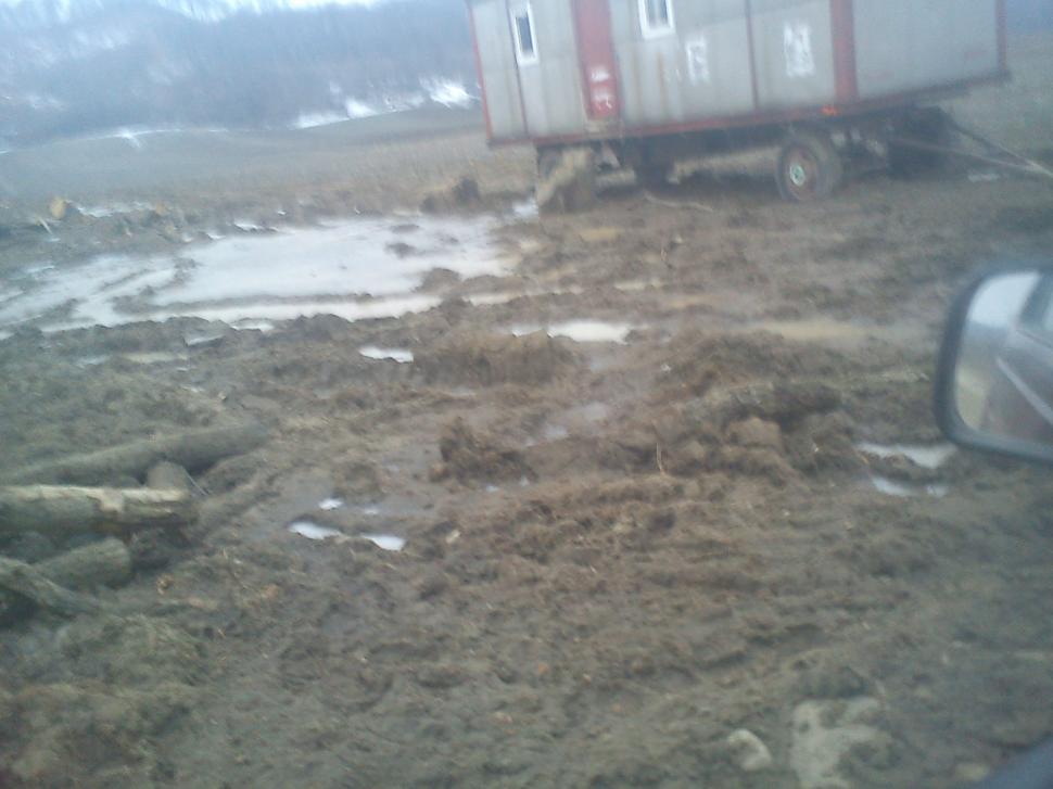 Pădurile au fost pur şi simplu "şterse", iar pământul o ia la vale peste casele oamenilor. Dezastrul la care asistăm neputincioşi 193240