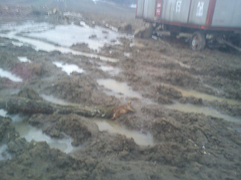 Pădurile au fost pur şi simplu "şterse", iar pământul o ia la vale peste casele oamenilor. Dezastrul la care asistăm neputincioşi 193241