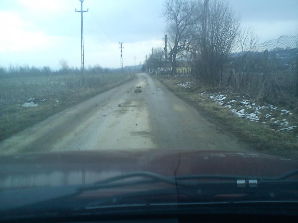 Pădurile au fost pur şi simplu "şterse", iar pământul o ia la vale peste casele oamenilor. Dezastrul la care asistăm neputincioşi 193243