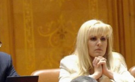 Elena Udrea: Nu am urcat pe scena referendumului. Aceasta a fost strategia de comunicare a PDL
