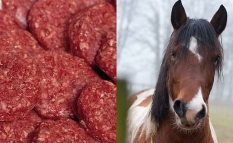 Scandalul cărnii de cal: Lidl îşi retrage semipreparatele din Suedia şi Finlanda