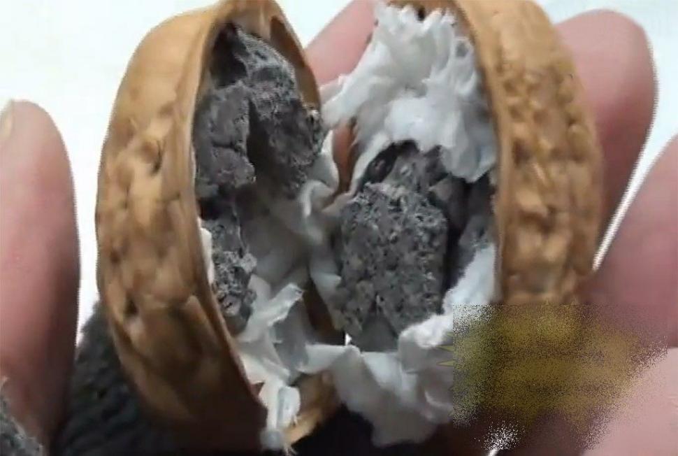 Chinezii au început să FABRICE nuci. Iată ce poţi găsi in interior, dacă vei cumpăra aşa ceva 194120