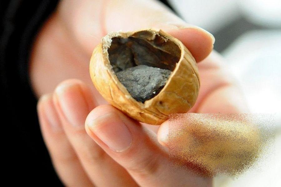 Chinezii au început să FABRICE nuci. Iată ce poţi găsi in interior, dacă vei cumpăra aşa ceva 194122