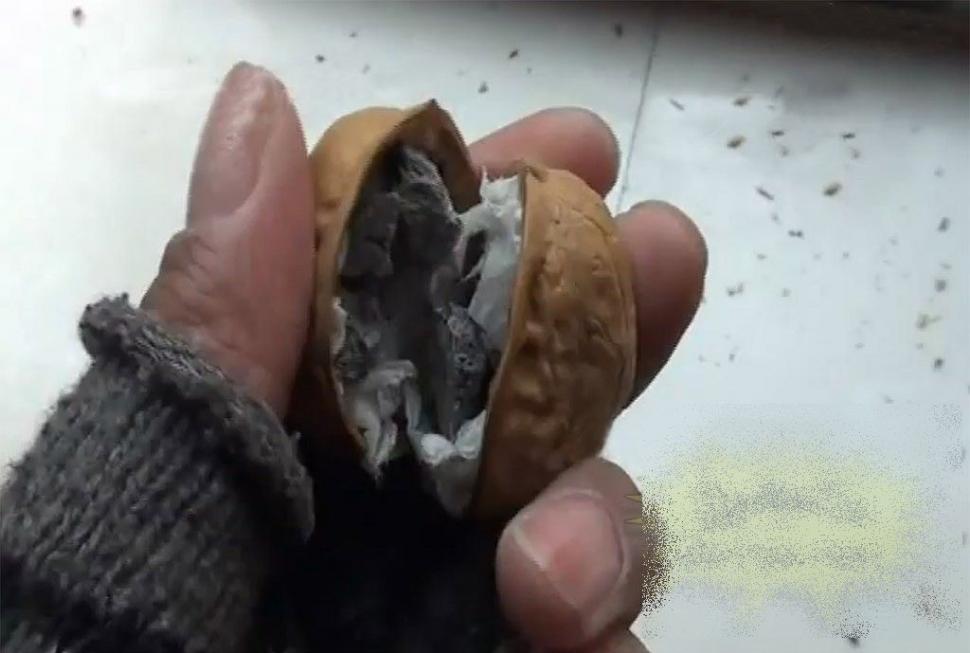 Chinezii au început să FABRICE nuci. Iată ce poţi găsi in interior, dacă vei cumpăra aşa ceva 194126