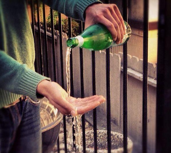 Cocalar de America, mândru tare pe Instagram. Cheltuie în fiecare zi 2.000 de dolari şi se spală cu şampanie 194206