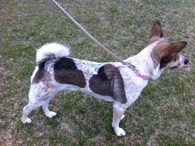 Love is in the air! Vezi imagini pline de duioşie 194305