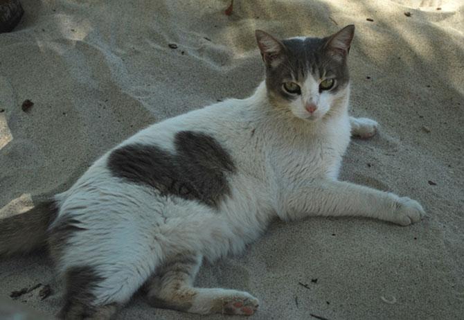 Love is in the air! Vezi imagini pline de duioşie 194307