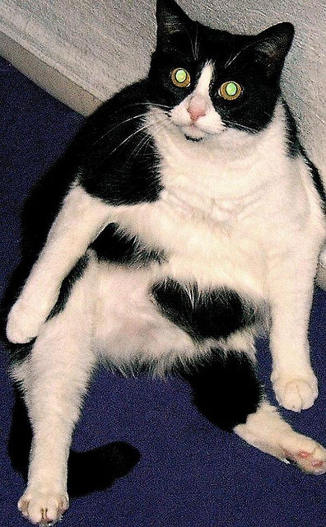 Love is in the air! Vezi imagini pline de duioşie 194308