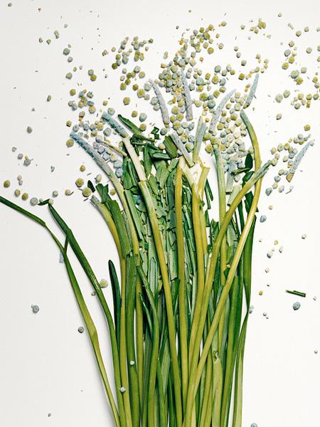 Ai văzut vreodată o floare ...SPARTĂ? Uite cum arată "frumuseţea ciobită" 194688