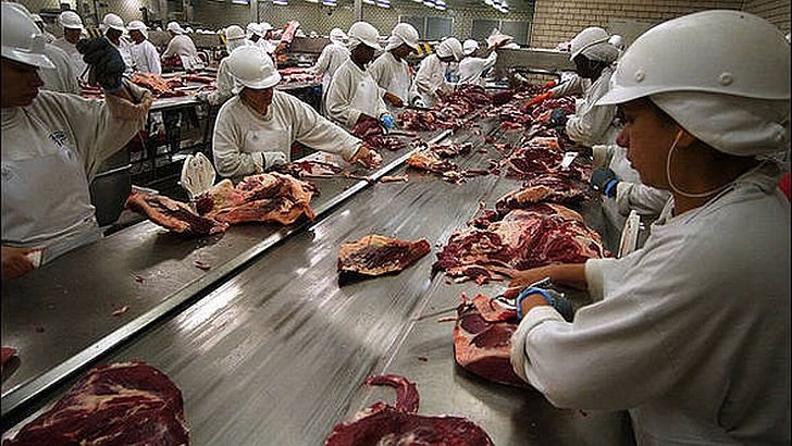 Isteria mondială a cărnii de cal. Câte mii de persoane au mâncat lasagna, shaorma sau friptură de carne de cal