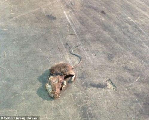 "Este un ţărănoi ignorant". Jeremy Clarkson, criticat aspru pentru ce a postat pe Twitter 194815