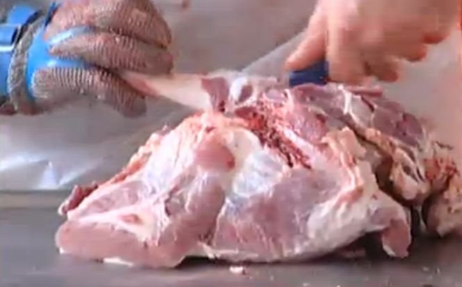 Sute de kilograme de carne congelată, aruncate pe malul unui lac din Cluj